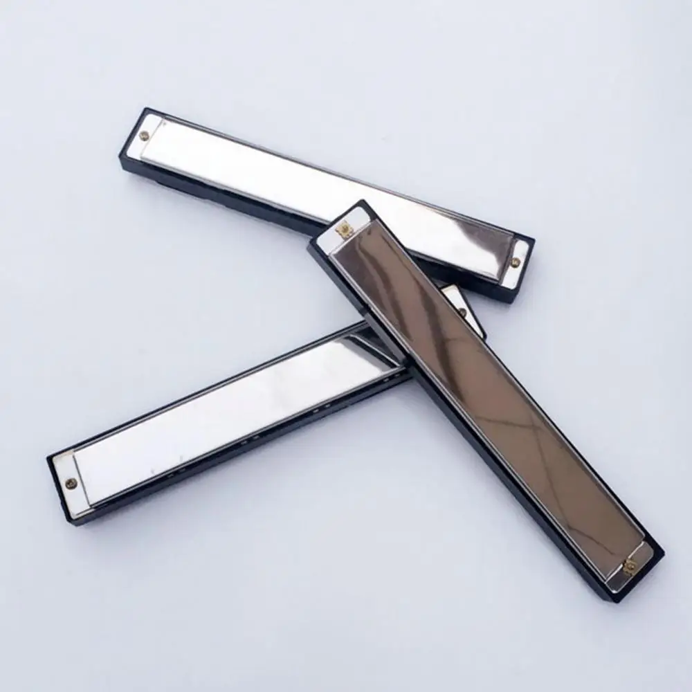 Диатоническая гармоника с 24 отверстиями Серебряный блюз диатоническая