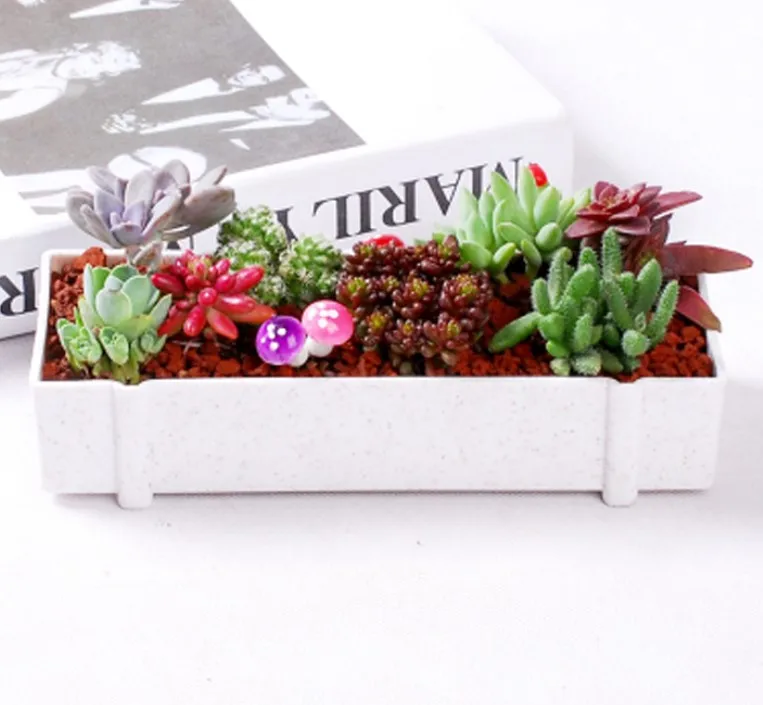 Розовый суккуленты цветочный горшок креативный прямоугольник плантатор для