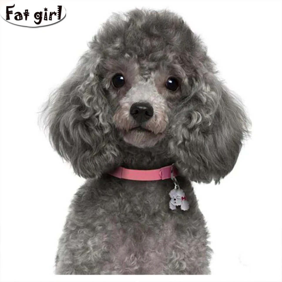 Алмазная 5d картина сделай сам квадратная круглая вышивка с рисунком пуделя