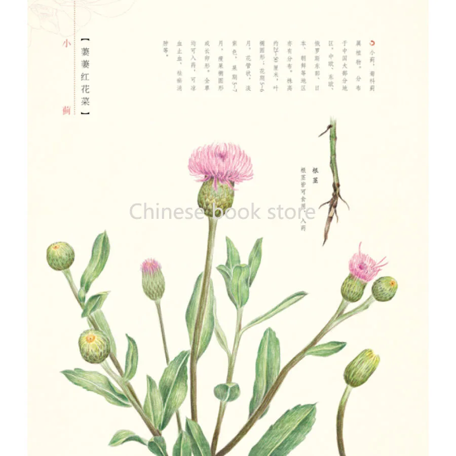 Booculchaha Chinesecoloring учебная книга для карандашей самостоятельного обучения: