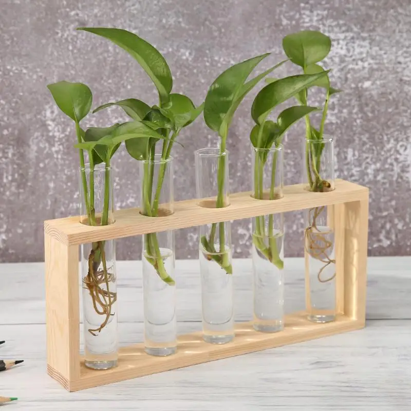

Transparent Glass Vase Wood Frame Iron Art Terrarium Bonsai Table Ornaments Glass and Wood Vase Planter Terrarium Table Desktop