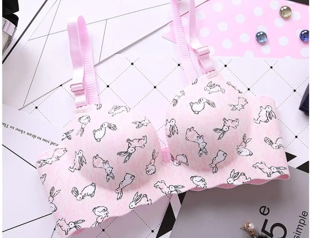 pink pink rabit Новинка, женский бюстгальтер пуш-ап для молодых девушек, бесшовный бюстгальтер без косточек, французский Романтичный бюстгальтер с рисунком, бюстгальтер с анимой, милый бюстгальтер, нижнее белье - Цвет: pink pink rabit