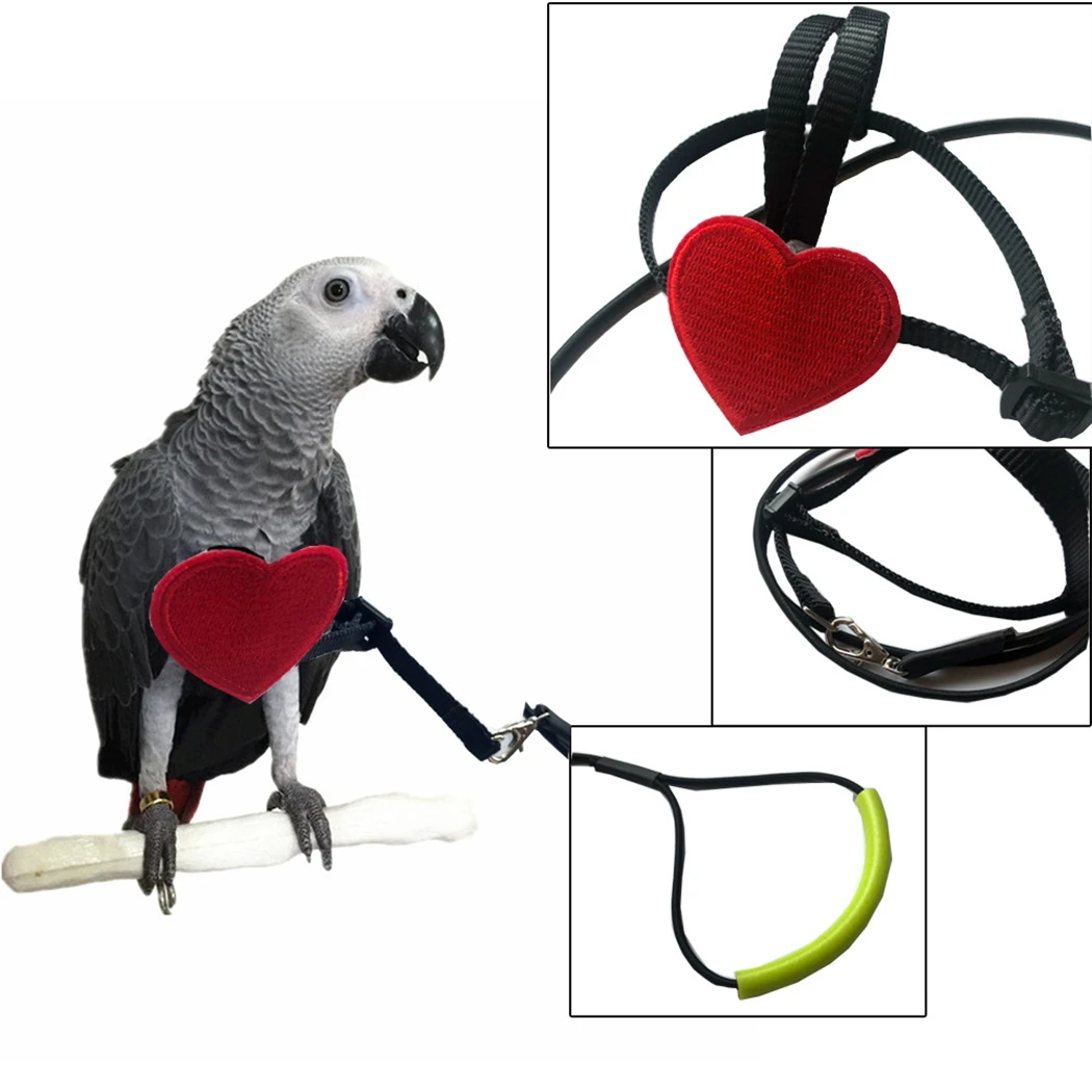 

1PCS Bird Harness Leash Creative Adjustable Parrot Harness Leash Bird Supplies Anti-Bite Outdoor Flying Harness and Leash