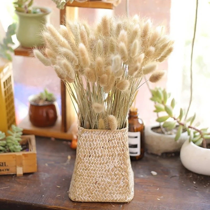 

Natural Dried Flowers Rabbit Tail Grass Eucalyptus Bunch Colorful Flower Bouquet For Diy Home office desk Wedding Decor