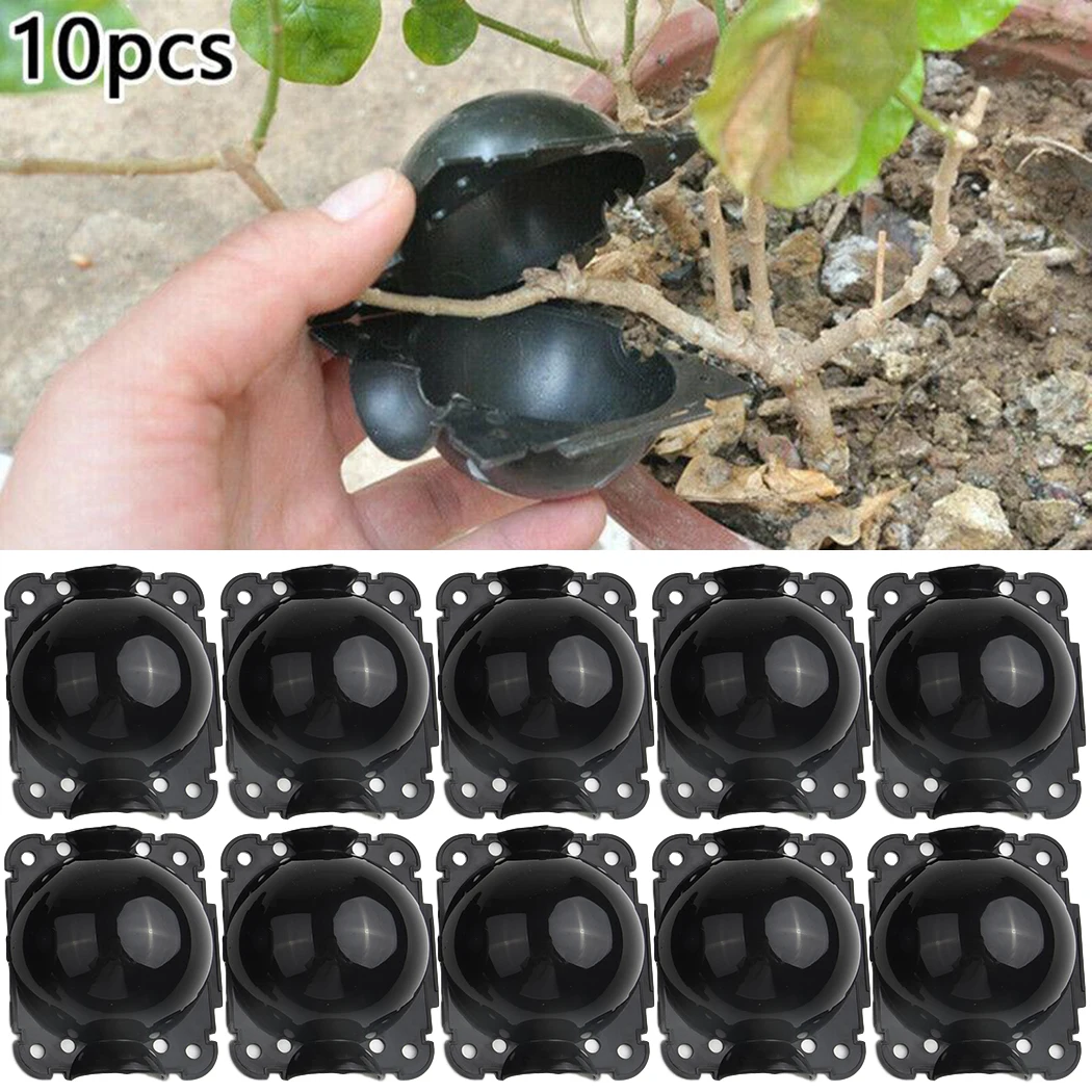 

10pcs Plant Grafting Box Rooting Equipment High Pressure Propagation Ball Graft Box Breeding Case For Garden Graft Box Sapling