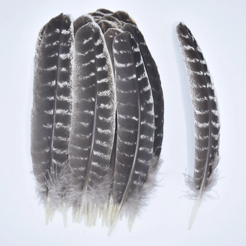 

Real Natural Eagle Feathers 8-16"/20-40cm Eagle Bird Feathers for Crafts Feather Top Feathers Decoration Carnaval Assesoires DIY