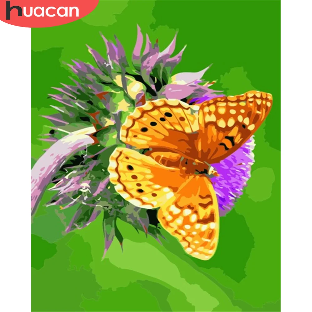 

HUACAN краска по номеру бабочка Рисование животных на холсте Ручная Краска ed Рисование Искусство подарок DIY картинки по номеру наборы домашний...