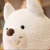 Изображение товара 5