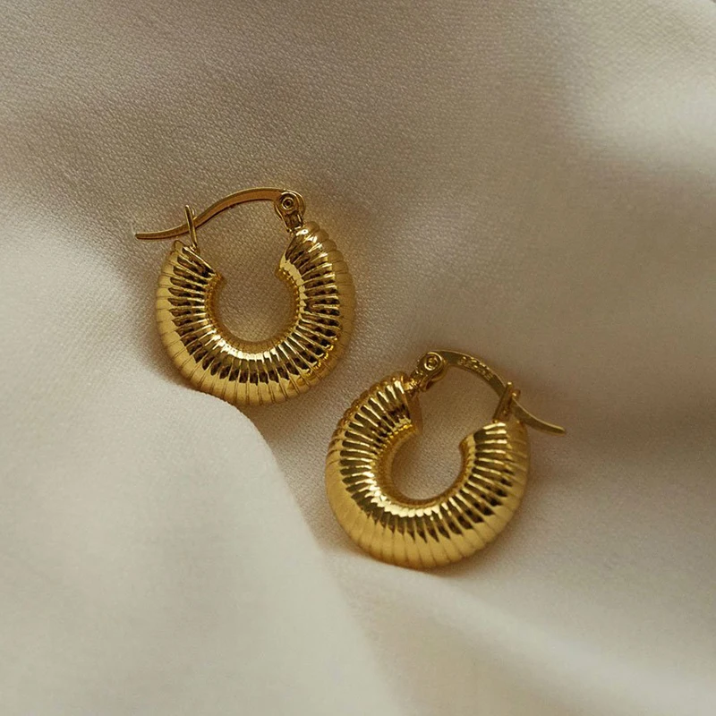 

2021 New Jewelry 18k Gold Plated Eco-friendly Stainless Steel Vintage Screw Texture Small Chunky Gold Hoop Earring for Women