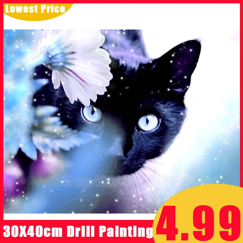 Алмазная живопись 5D алмазная вышивка полностью квадратной/круглой формы черная