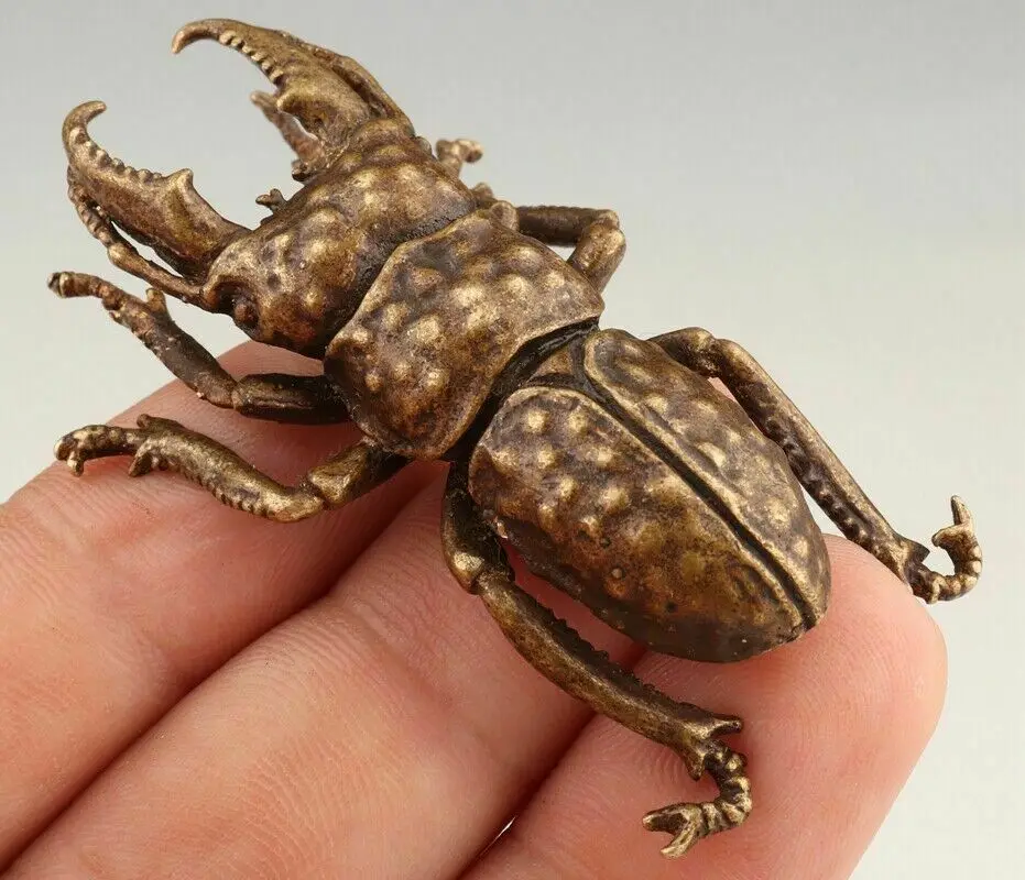 

Уникальная коллекция натуральных животных