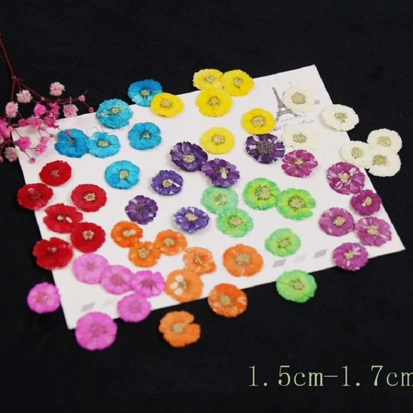 

120pcs Pressed Dried Daisy Flower Dry Plants For Epoxy Resin Pendant Necklace Jewelry Making Craft DIY Accessories
