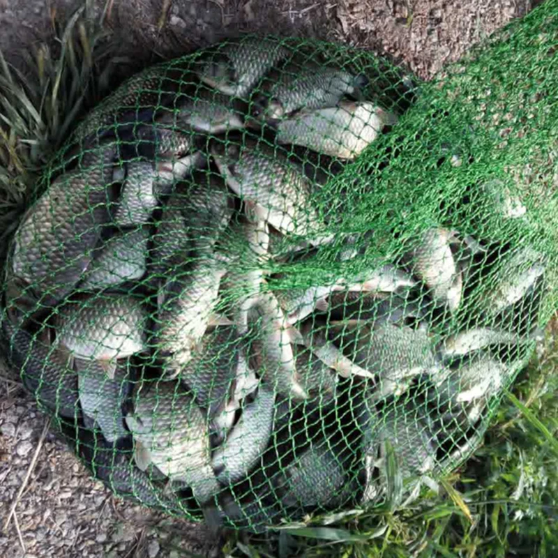 Bimoo 1 пакета (ов) а так же 30 г дождевого вкус добавка Карп Рыболовная Приманка Фидер