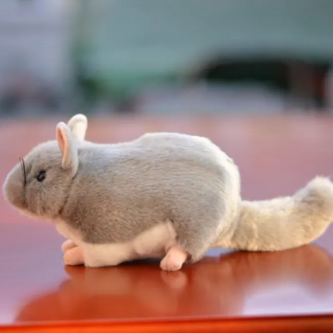 

Stuffed Animals & Plush