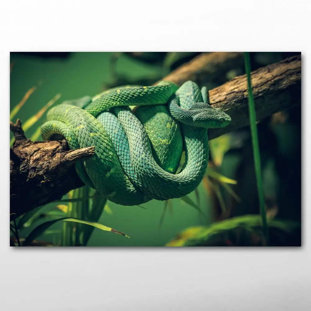 Animal Paintings Art Green Snake Wildlife Wall Posters and Prints Canvas For Living Room Decor | Дом и сад