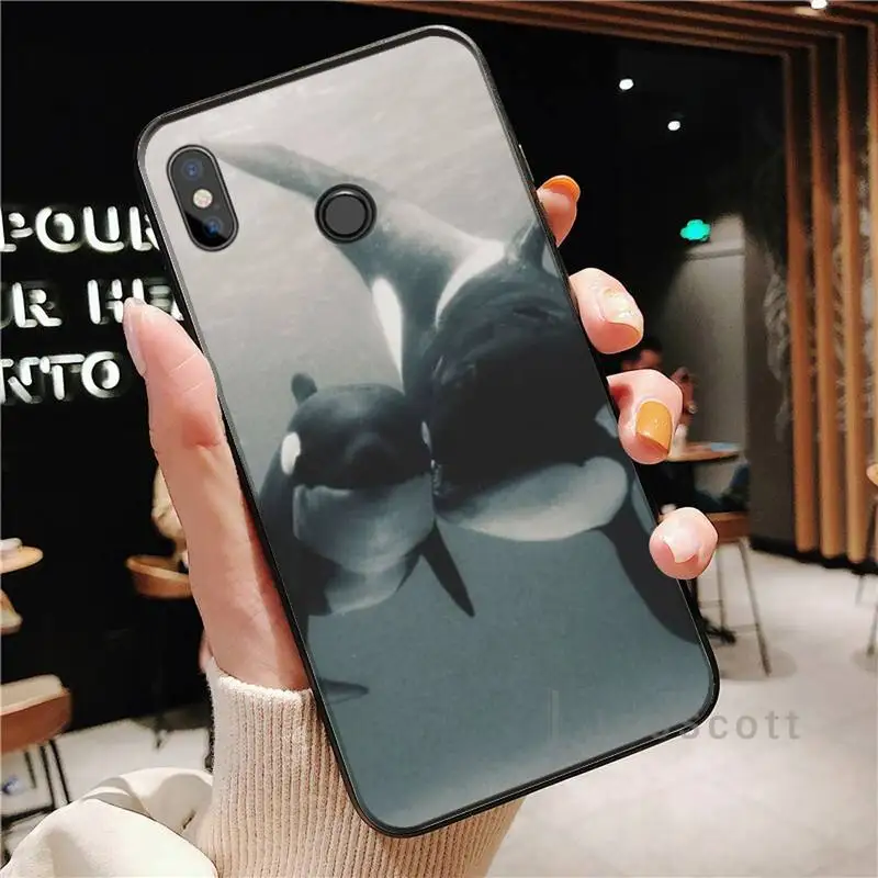 

Killer Whale Orca Phone Case For Xiaomi Redmi Note 4 4x 5 6 7 8 pro S2 PLUS 6A PRO