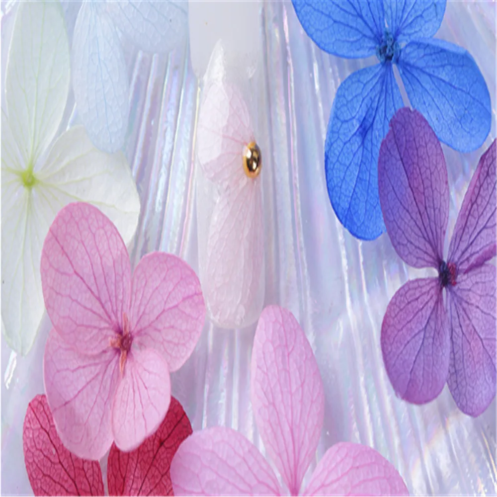 New Japanese Set Boxed 12 Color 3d Three-dimensional Natural Jewelry Lace Starry Five-petal Flower Nails Dried Flowers | Красота и