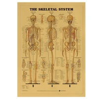 k017 body skeleton system design drawing building kraft paper wall stickers bar retro poster decorative painting 42x30cm