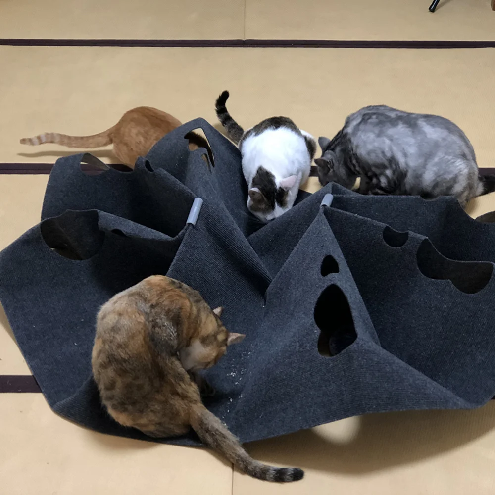 

Cat Activity Play Mat Creative Cat Sniffing Pad Cat Interactive Scratching Bed Rug (Dark Grey)