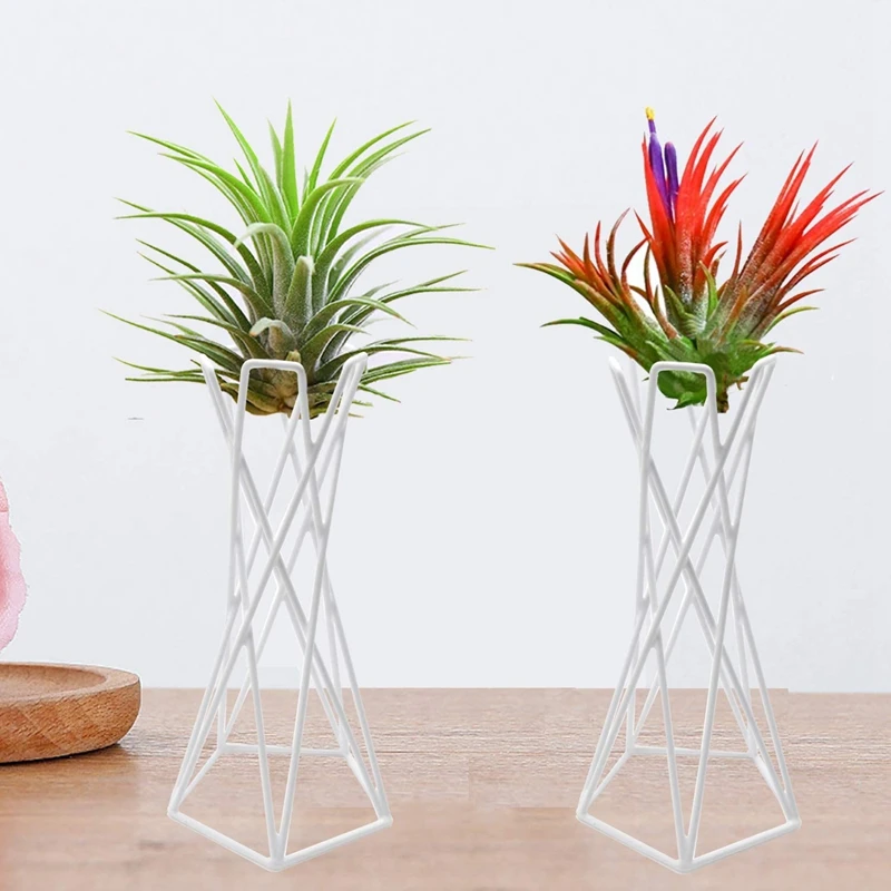 Воздушный завод Стенд держатель тилландсия панель светло-серого цвета металла