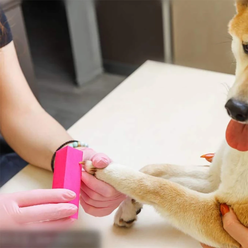 

24 Manicure Tool Kits, Rectangular Nail Care Buffer Block Tools, Nail Files and Buffer 100/180 Grit