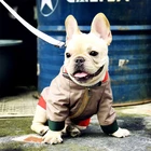 Зимняя одежда для собак для маленьких собак, одежда для собак, одежда для домашних животных, модные куртки на панель в форме французского бульдога костюм для мопса дропшиппинг PC1041