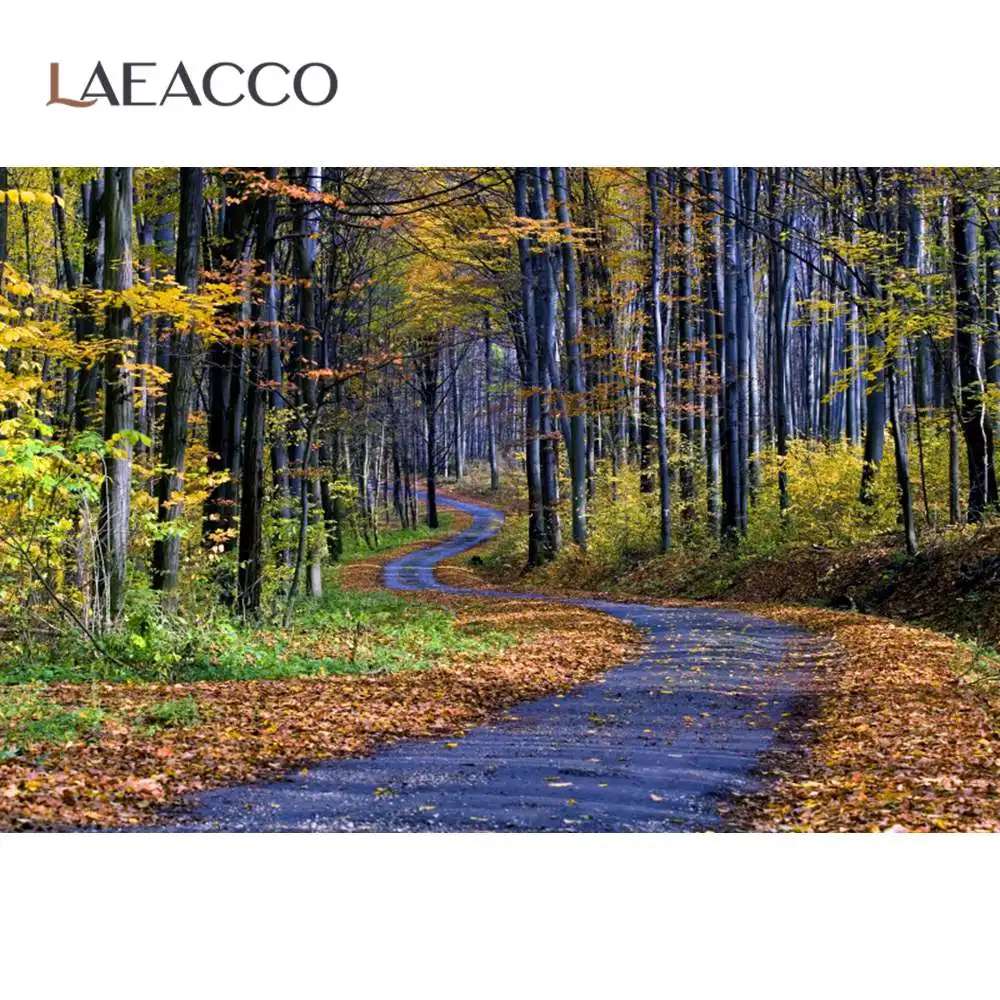 

Laeacco Autumn Forest Tree Yellow Maples Fallen Leaves Pathway Road Natural View Scenic Photo Background Photographic Backdrops