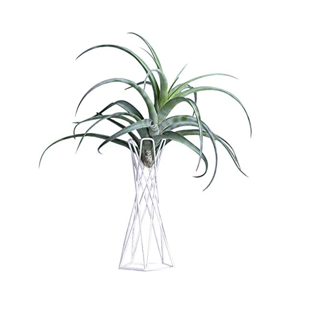 Металлические настольные подставки для растений контейнеры цветов в