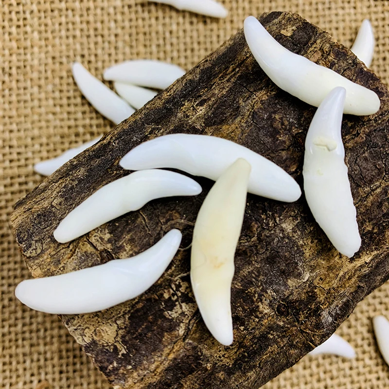 Подвеска-Клык в виде тибетского животного подвеска амулет | Украшения и