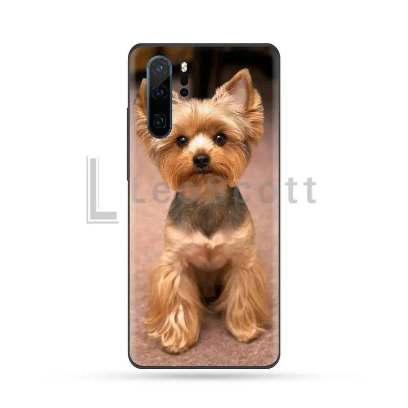 

Yorkshire terrier dog Phone Case Funda For Huawei P9 P10 P20 P30 Lite 2016 2017 2019 plus pro P smart