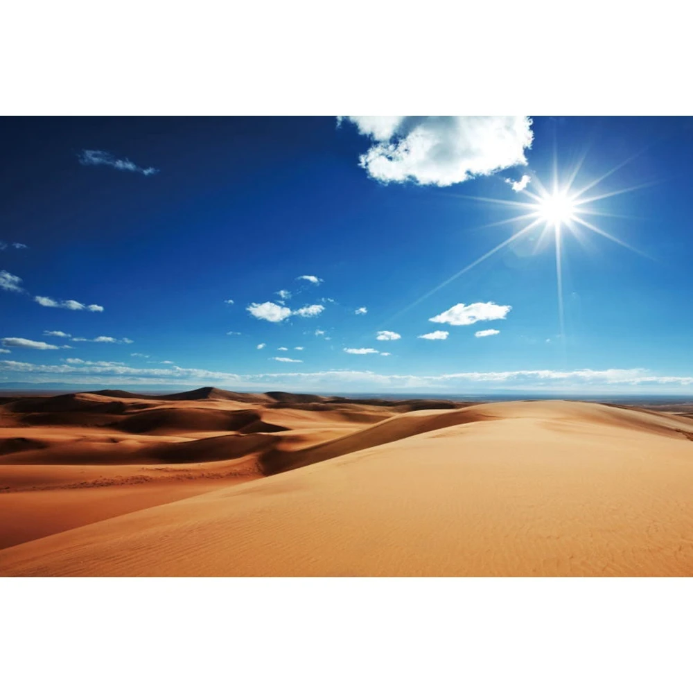 

Summer Sky Cloud Desert Nature Scenery Baby Portrait Backdrop Vinyl Photography Background For Photo Studio Photophone Photocall