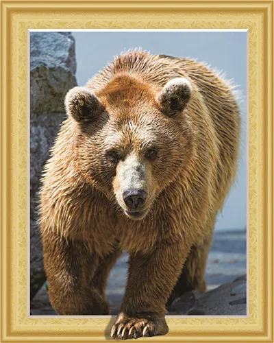 3D cubism visual effect bear owl Diamond Embroidery diy diamond Painting Cross Stitch kit Animal with printed frame Home Decor | Дом и сад