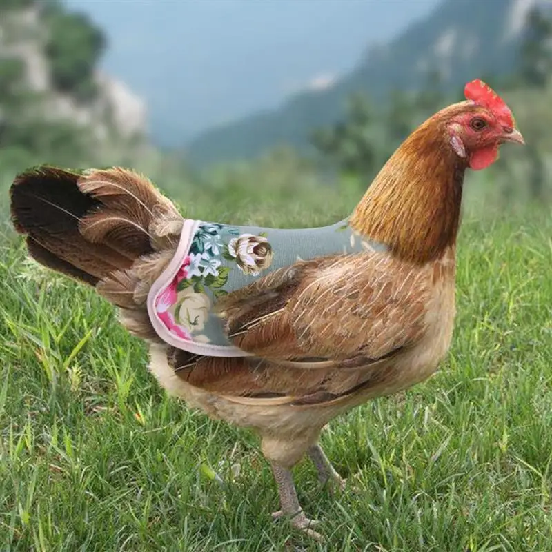 

Chicken Apron Strap Colorful Flower Chicken Vest Clothes Chicken Jackets Hen Aprons Pest Control Home Garden Jackets Accessories