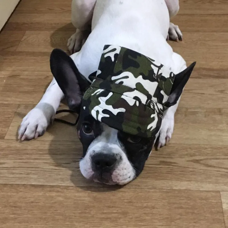 Бейсболка для домашних питомцев кепка с ремешком на шею удобными регулируемыми