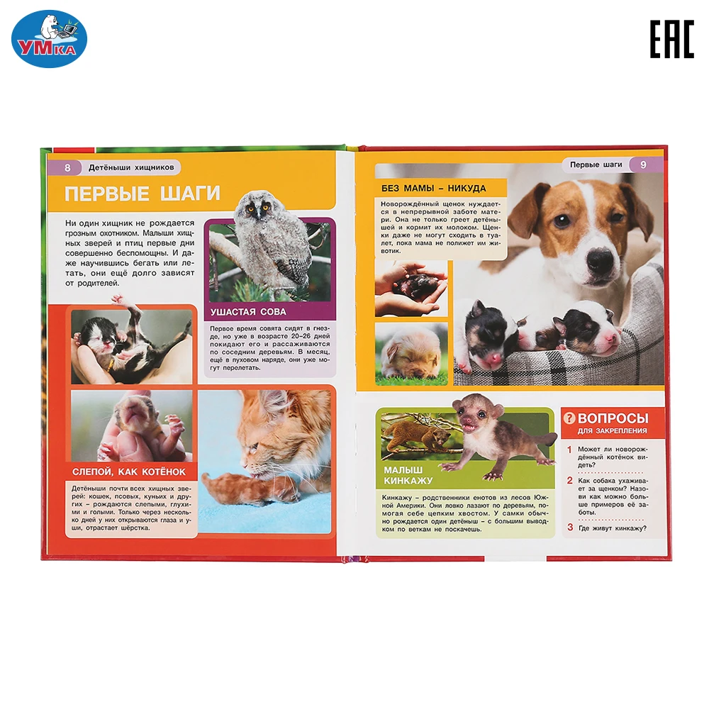 Энциклопедия Умка Детеныши хищников (с развивающими заданиями) твердый переплет
