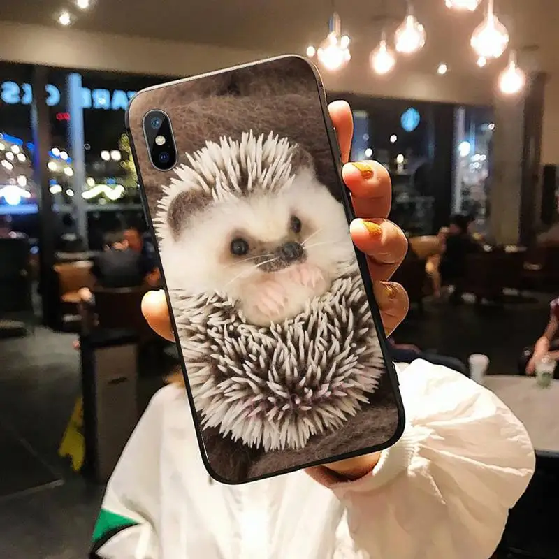 

Hedgehog animal funny pattern Phone Case for iPhone 11 12 mini pro XS MAX 8 7 6 6S Plus X 5S SE 2020 XR shell