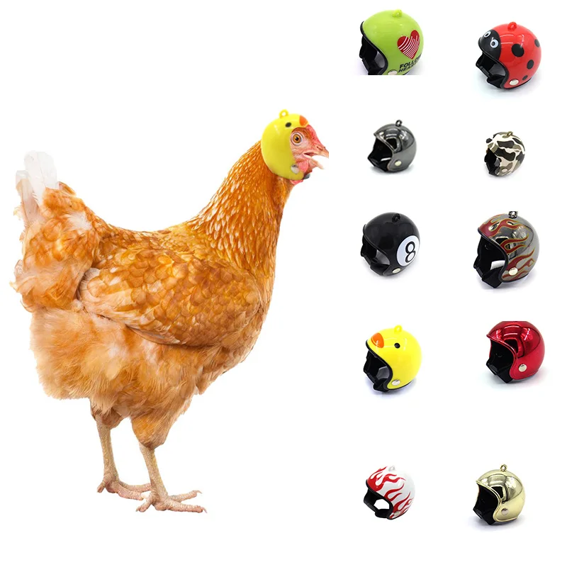 

Chicken Helmet Cap Pet Protective Gear Sun Rain Protection Helmet Toy Bird Hens Small Pet Supplies Costumes Accessories