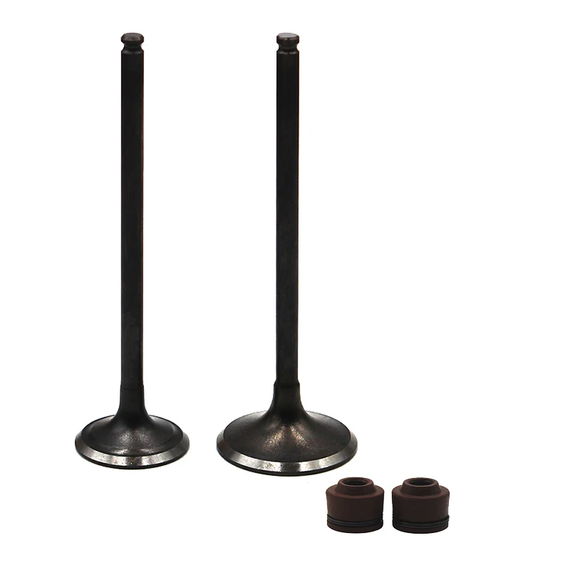 Набор впускных и выпускных клапанов мотоцикла для HONDA AX 1 NX250 1988 1996 XL250 AN250Twincam 2008