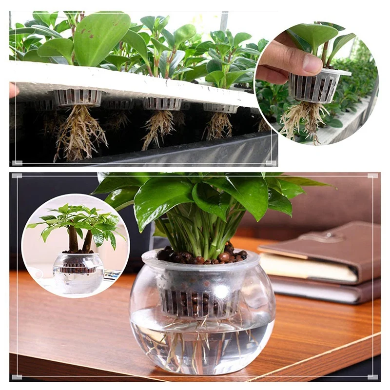 

Garden Plastic Net Cups,100 Pack Planting Basket Cup , Garden Slotted Mesh Heavy Duty Wide Lip Design Net Pots