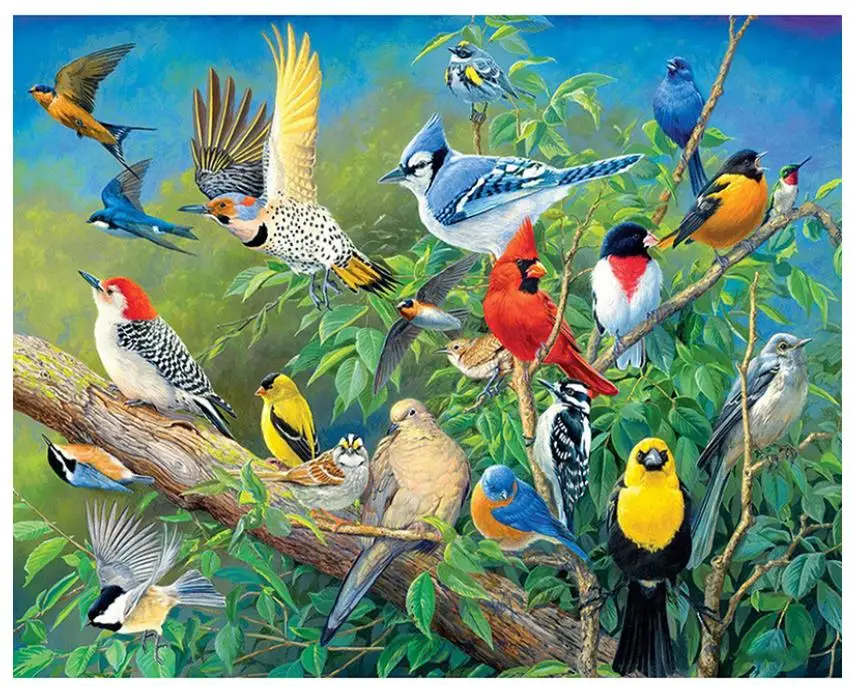 Алмазная живопись с животными Робин птица полная вышивка искусство стразы