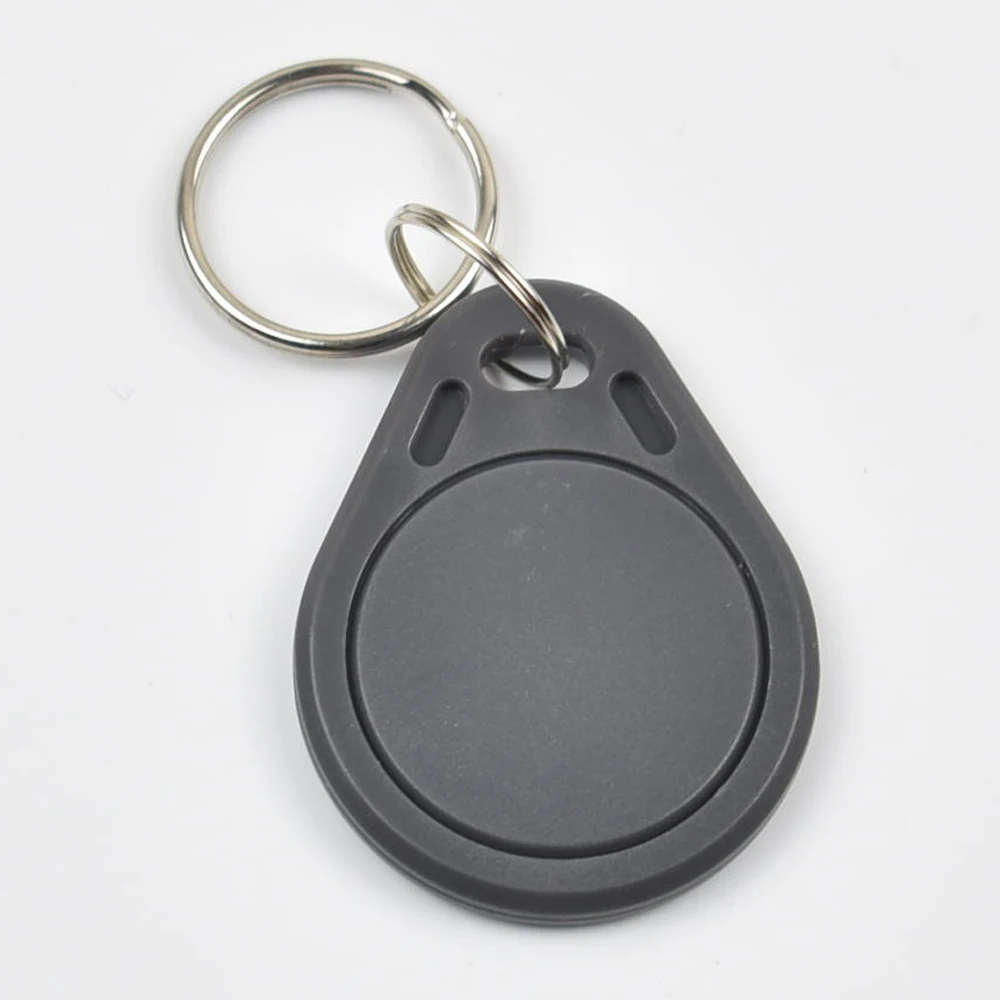 Брелоки для ключей RFID 100 кГц 125 шт. EM4305 Считываемые и записываемые бирки из
