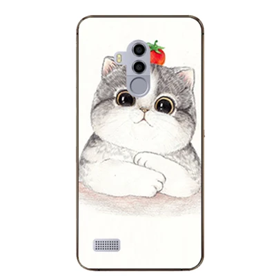 Чехол с рисунком для LEAGOO T8s мягкий чехол из ТПУ задняя крышка телефона Leagoo T8S T 8S