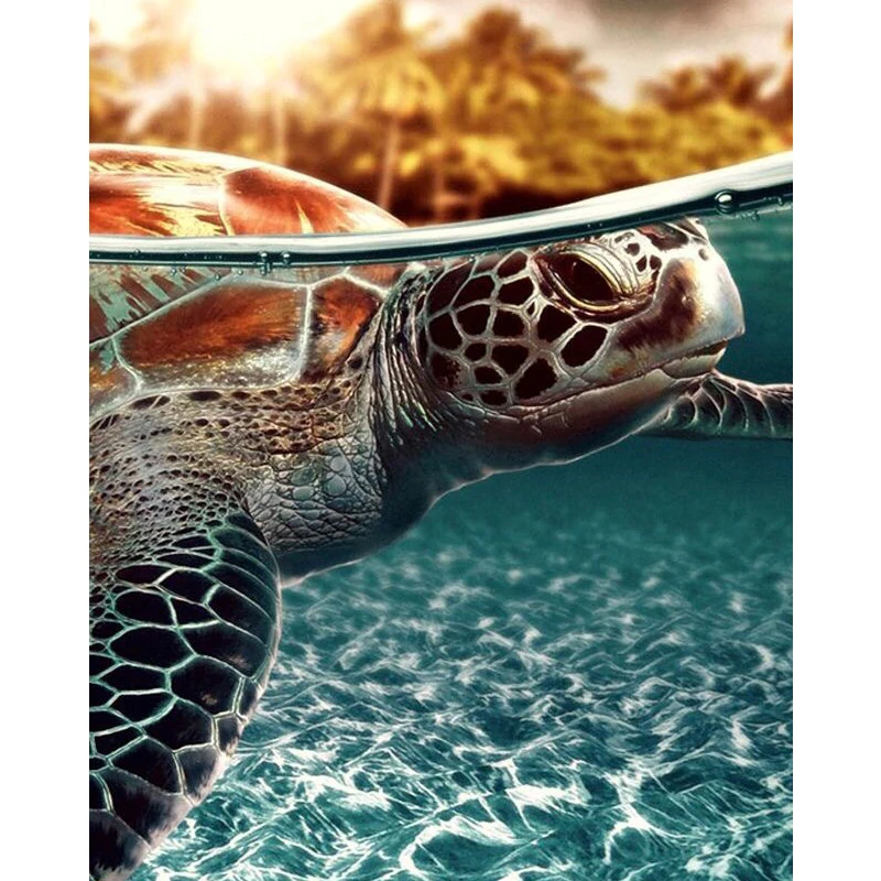 

100% Full 5D Diy Daimond Painting Cross-stitch "Turtle" 3D Diamond Mosaic Round Rhinestones Paintings Embroidery Animals