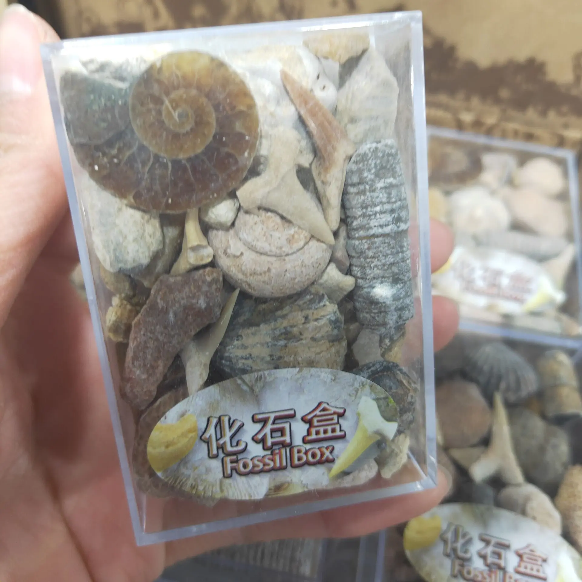 

1 Box Mixed Ore Specimens Science Mineral Rock Museum Teaching Gravel Specimen Materials Natural Stone