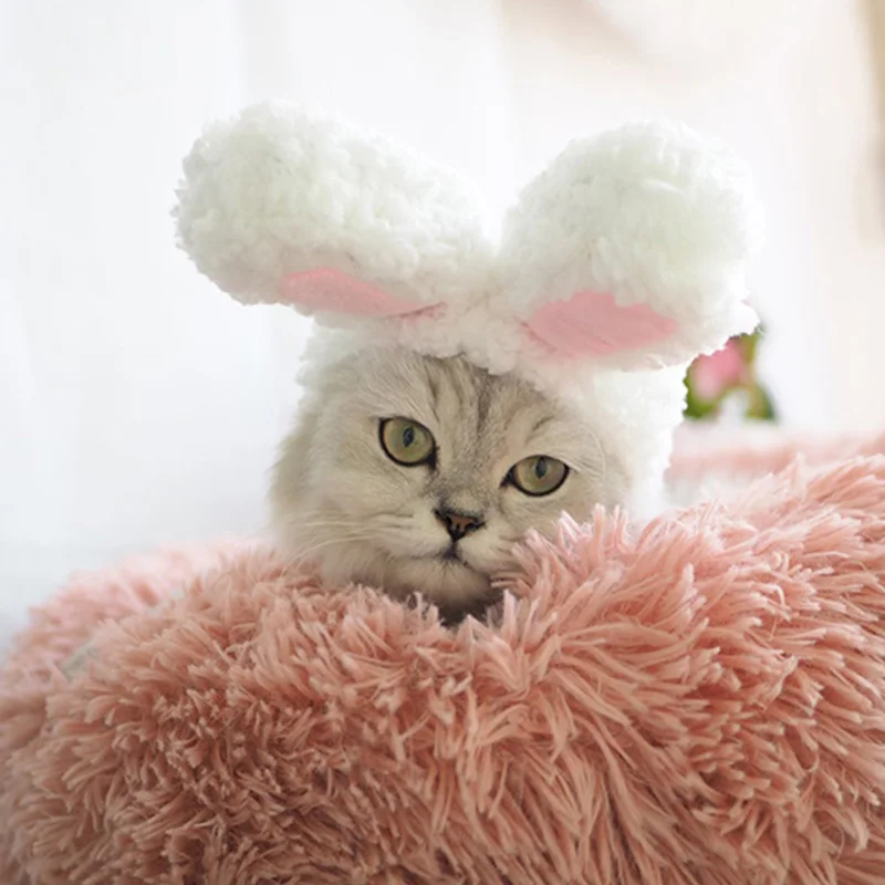 

Cat Cute Rabbit Ears Costume Hat Headdress Show Prop Funny Pet Hat Cat Headwear 2021 New And High Quality Headwear