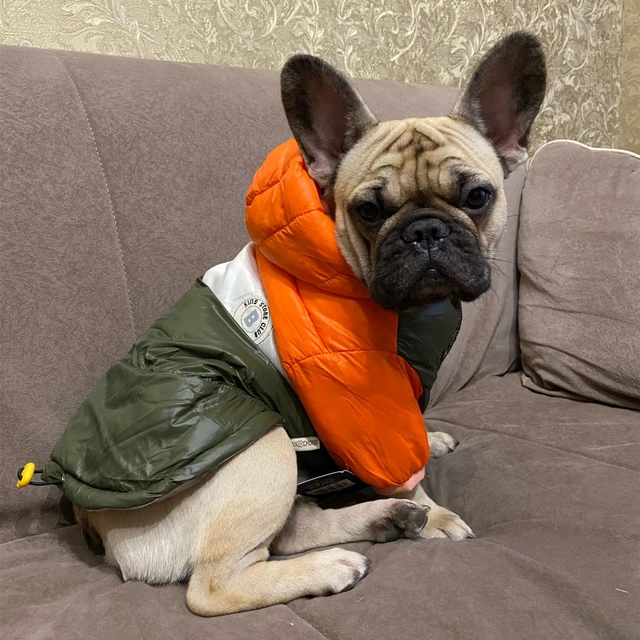 Waterproof Big Dog Down Jacket Winter Warm Dog Clothes for Small Medium Large Dogs French Bulldog Pug Hooded Coat Pets Clothing 1