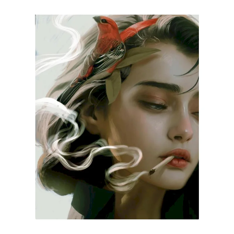 

GATYZTORY Painting By Numbers For Adults With Frame Figure Smoking Girl Modern On Canvas Wall Art 60x75cm Picture By Numbers For