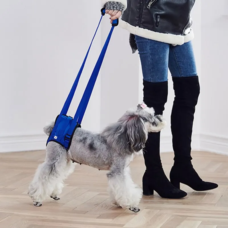 

Adjustable Disabled Dog Support Walking Assist Harness Dog Training Leash Pet Dog Hind Limb Rehabilitation Outdoor Sports Belt