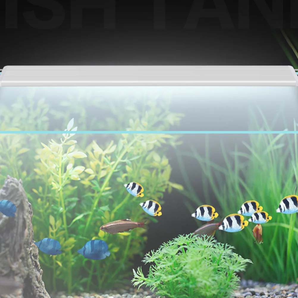 

Светильник для аквариума практичный светильник для аквариума