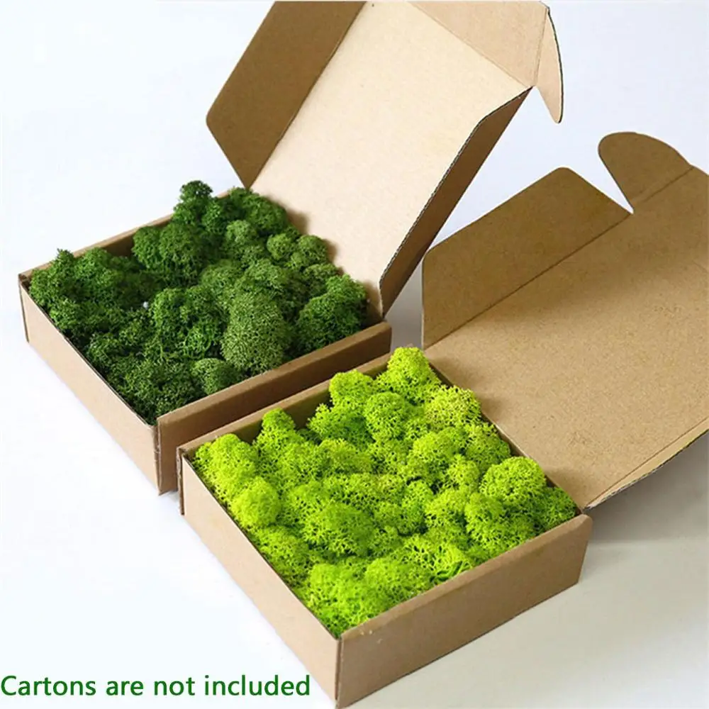 Искусственное растение вечной жизни мха для сада и дома свадьбы Рождества